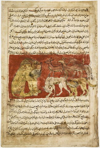 Le lion interroge le chacal (page d'une version persane d'un "Kalila et Dimna")