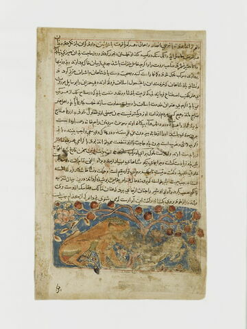 Le lion et le loup (page version persane d'un "Kalila et Dimna")