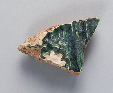 Fragment de panse, image 1/1
