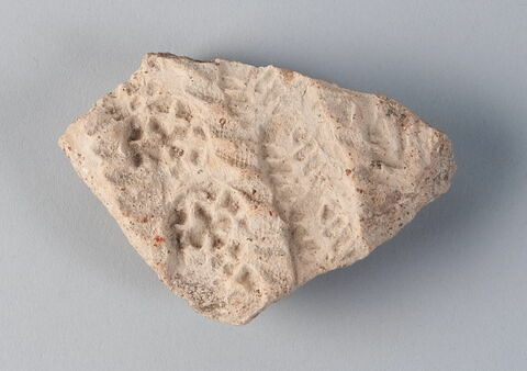 Fragment, image 1/1