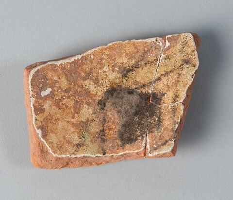 Fragment de coupe, image 1/1