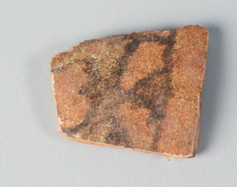 Fragment de bord de coupe, image 1/1