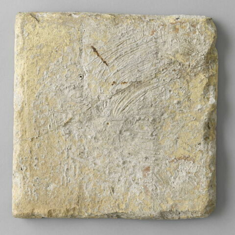 Carreau de revêtement, image 2/2
