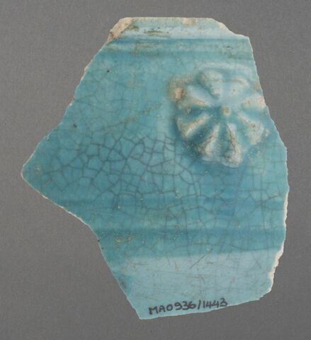 Fragment de bord de coupe, image 1/1