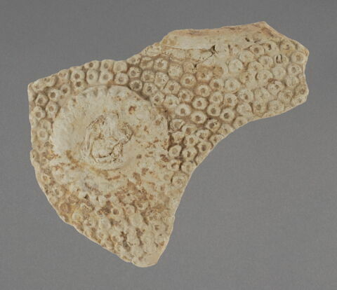 Fragment, image 1/1