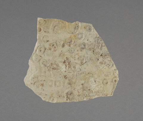 Fragment, image 1/1