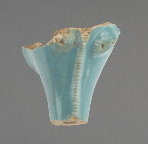 Tête d'éléphant, image 1/1