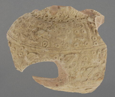 Fragment de panse, image 1/1