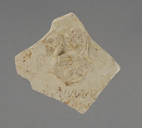 Tesson au paon, image 1/1
