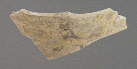Fragment, image 1/1