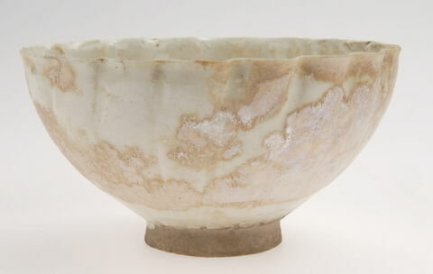 Coupe polylobée, image 2/2