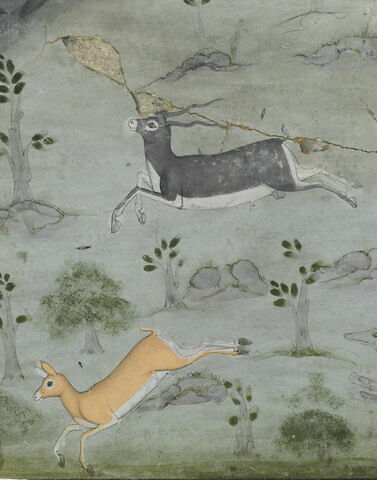Le Sultan Amar Singh et un prince (?) chassant la gazelle, image 3/5