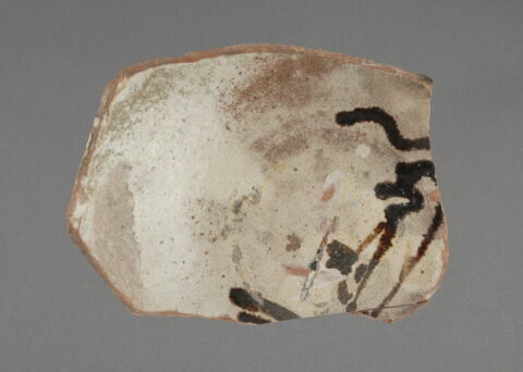 Fragment de fond de coupe, image 2/2