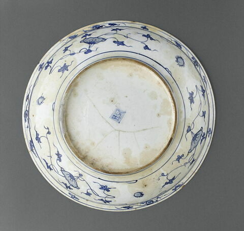 Plat au dragon, image 9/10