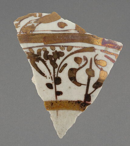 Fragment de panse (forme fermée?), image 1/1