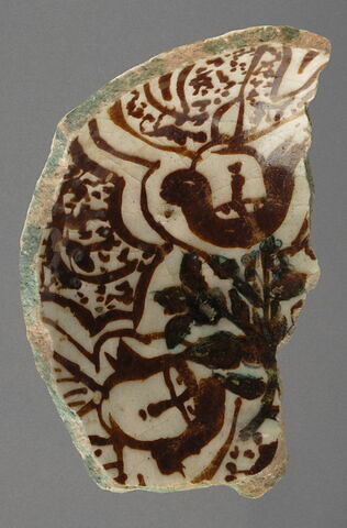 Fragment de coupe à aile droite, image 3/3