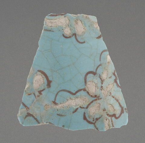 Fragment de paroi bombée, image 1/1