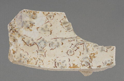 Fond de coupe, image 1/1