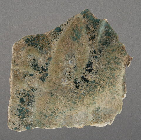 Fragment de paroi, image 1/1