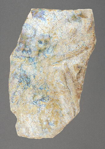 Fragment de paroi, image 1/1