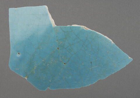 Fragment de panse globulaire (forme fermée), image 1/1