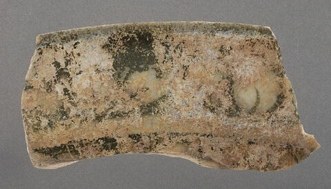 Fragment de bord de coupe, image 1/1