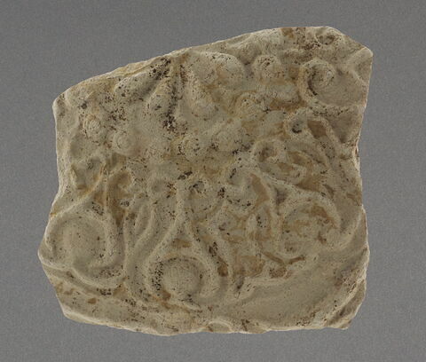 Fragment de paroi, image 1/1