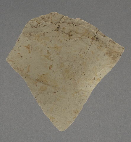 Fragment de paroi, image 1/1