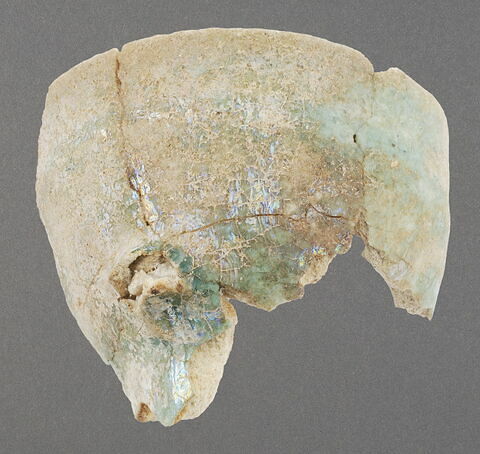 Fragment de vase, image 1/1