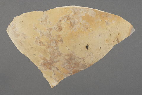 Fragment de paroi de bol et amorce de bord, image 1/1