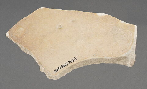 Fragment de fond de coupe, image 1/1