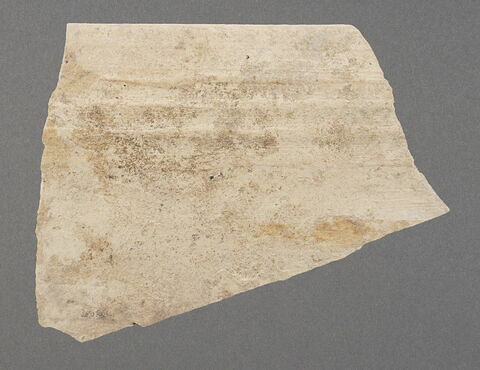 Fragment de bord de coupe, image 1/1