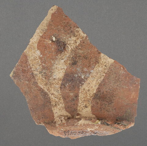 Fragment de fond de coupe, image 1/1