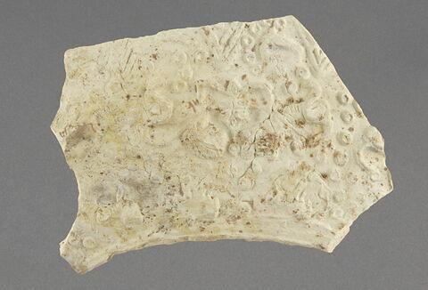 Fragment de pichet, image 1/1