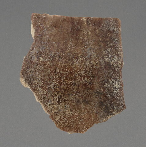 Fragment de panse de vase, image 1/1
