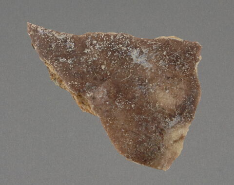 Fragment de panse de vase, image 1/1
