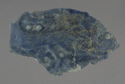 Fragment de panse, image 1/1