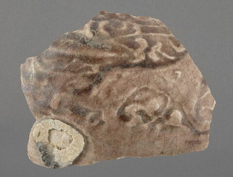 Fragment d'un vase, image 1/1