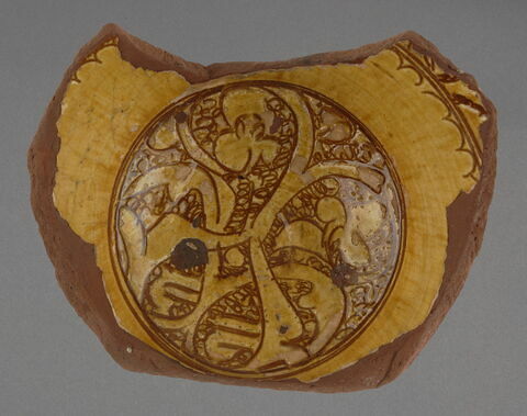 Coupe fragmentaire, image 1/1