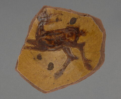 Coupe fragmentaire, image 1/1