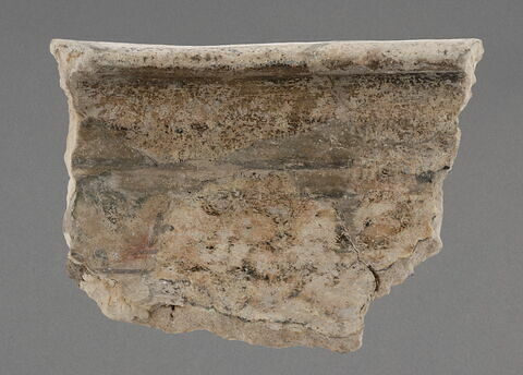 Fragment d'une coupe à aile plate, image 1/1