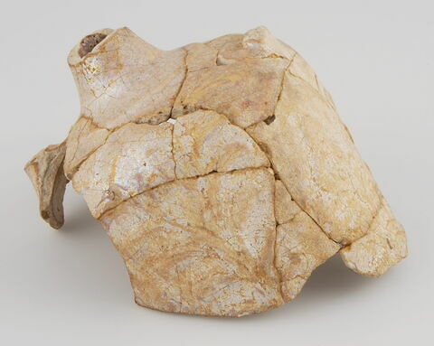 Fragment de bouteille, image 1/1