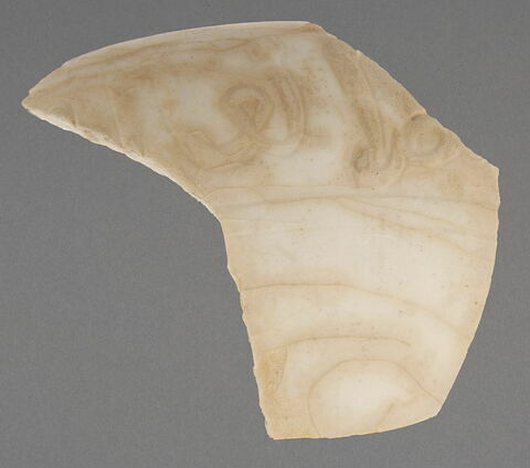 Fragment d'un objet pansu, image 1/1