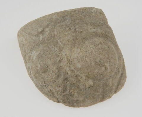 Fragment de gobelet, image 1/1