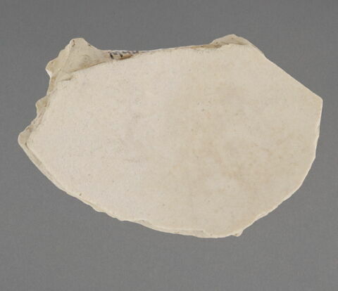 Petit fragment de coupe à paroi arrondie, image 1/1