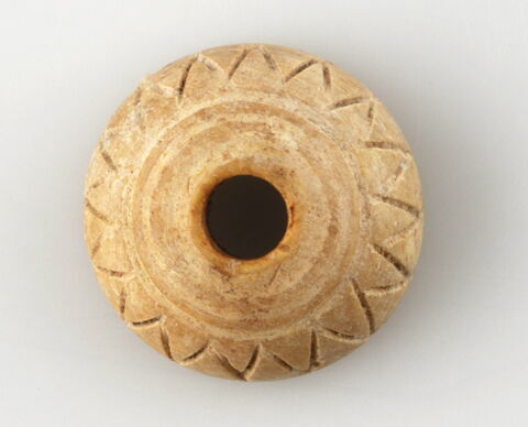 Fusaïole, image 1/1