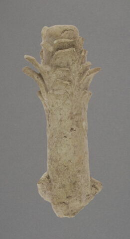 Manche en forme de tronc de palmier fragmentaire, image 1/1