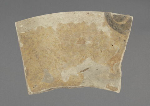 Fragment de bord de coupe (?), image 1/1