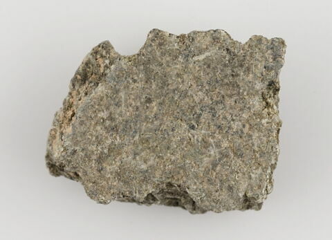 Fragment de paroi de coupe ?, image 1/1