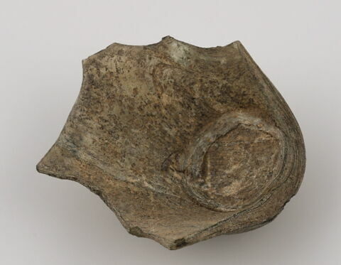 Fragment de fond et amorce de panse, image 1/1